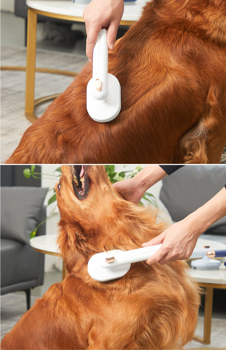 Cepillo autolimpiante para mascotas FurEase